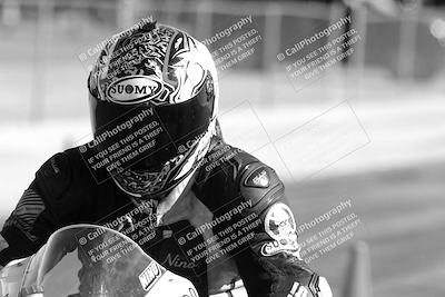 media/Feb-23-2025-2WTD (Sun) [[9604a77d5d]]/1-Around the Pits/